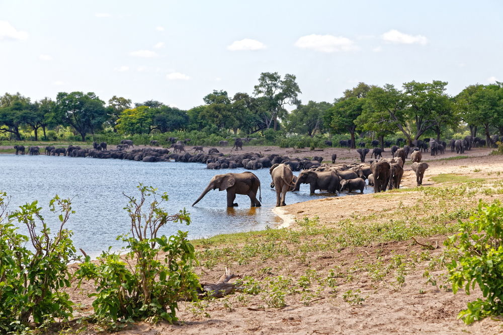 Nambwa Tented Lodge Kongola ภายนอก รูปภาพ