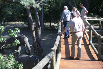 Nambwa Tented Lodge Kongola ภายนอก รูปภาพ